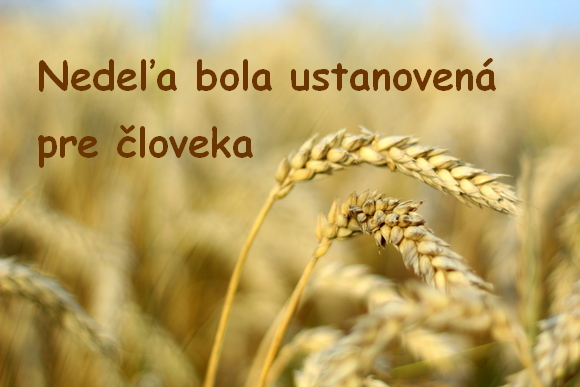 nedela3